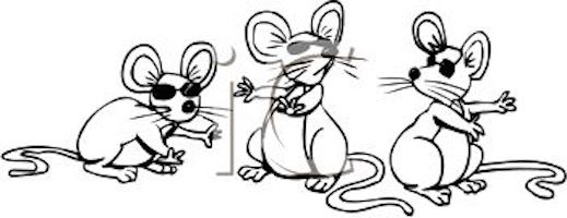 Three Blind Mice : Professor Carol